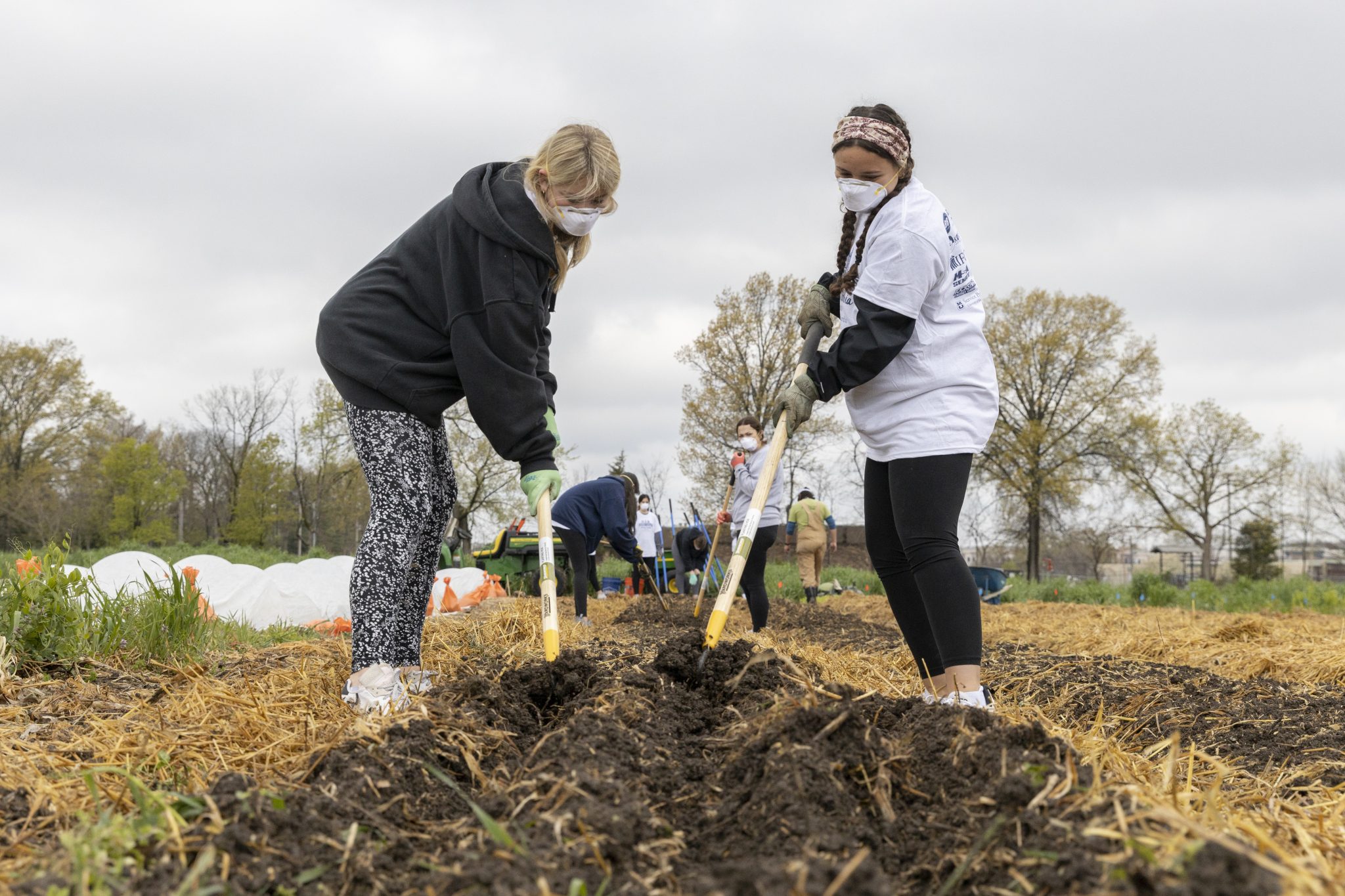 Students hoe a garden