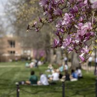 Students enjoy the spring weather near the columns on the David R. Francis Quadrangle April 06, 2021. Sam O'Keefe/University of Missouri