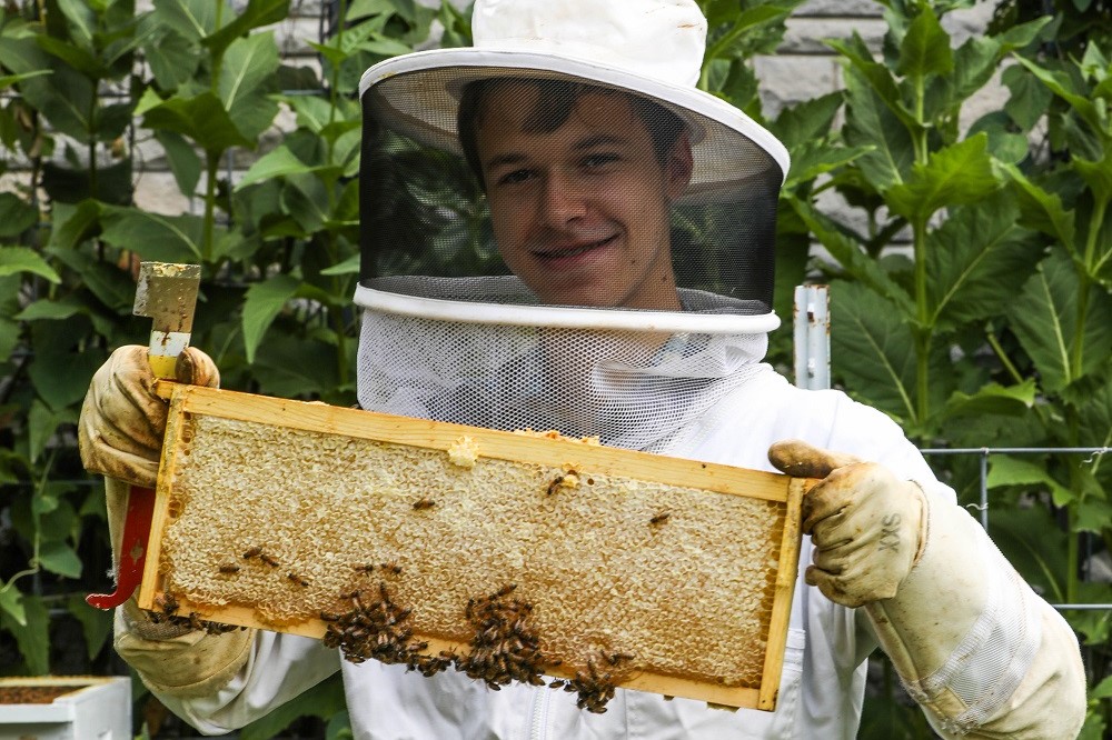 a beekeeper with bees