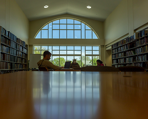 Students studying in library.