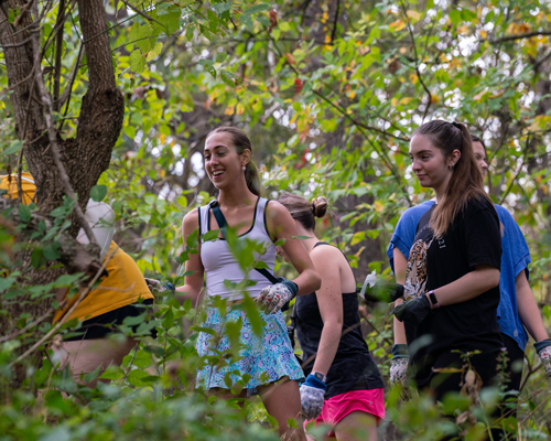 Students volunteering at Step Forward Day.